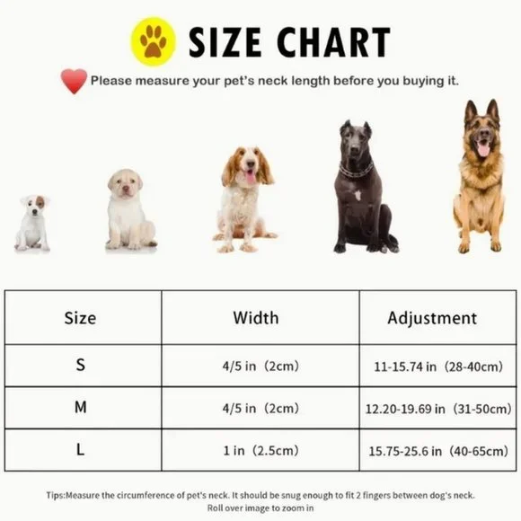 Serene Blue Mountain Size Medium Adjustable Quick Release D Ring Dog Collar - Picture 6 of 10